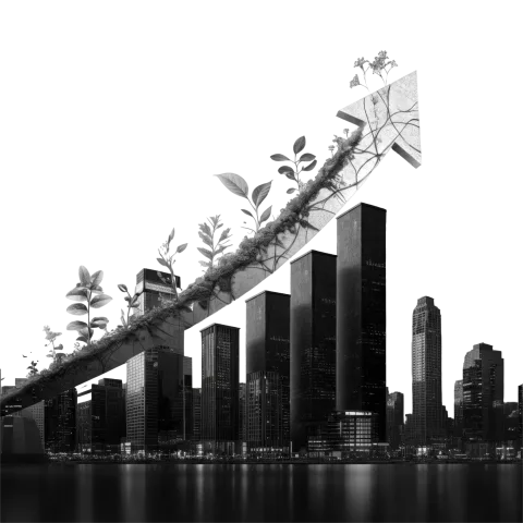 Growth and investment